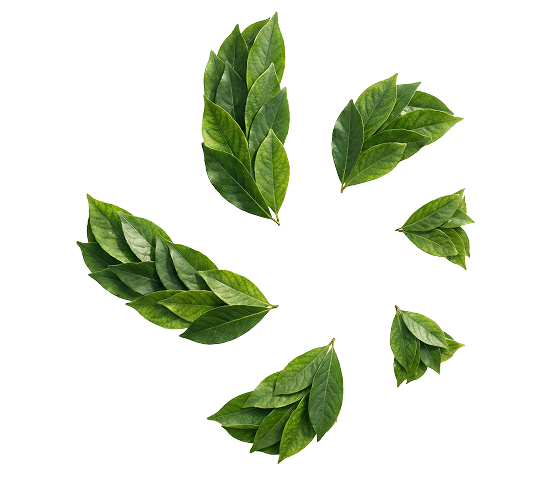 Yeşil Gelecek Misyonu